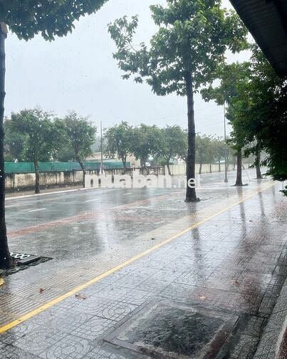 Nhà nghỉ cho thuê tháng tại Phường Phú Mỹ - TPHCM
