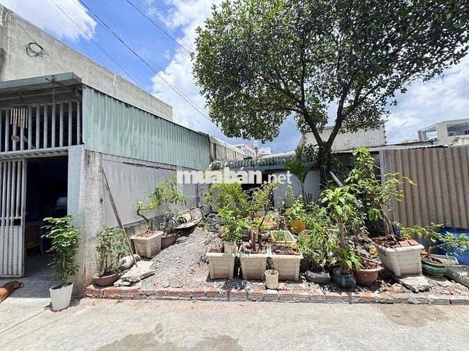 Đất 106m2 gần ngã 3 Cây Điệp, p Tân Đông Hiệp Tp Dĩ An
