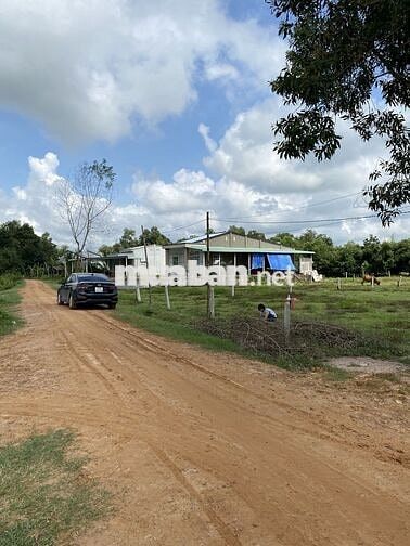 Đất ONT 2294 m(có 400 ONT), ngang 20, gần Trường cấp 1,2