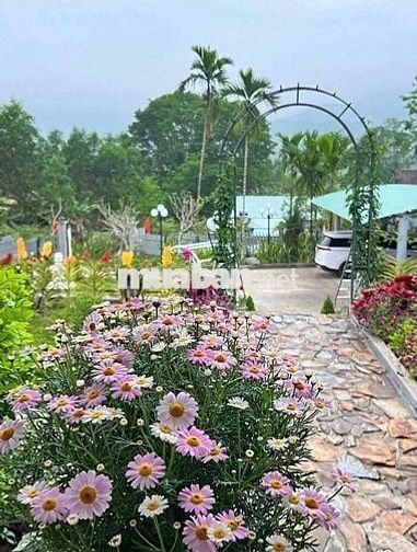 Chính chủ bán khu nghỉ dưỡng Nông Sơn Quảng