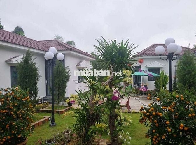 Chính chủ bán khu nghỉ dưỡng Nông Sơn Quảng