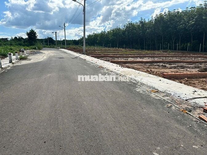 Bán đất thổ cư 125m² giá rẻ tại An Long, TP.HCM
