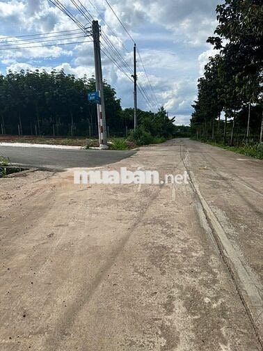 Bán đất thổ cư 125m² giá rẻ tại An Long, TP.HCM
