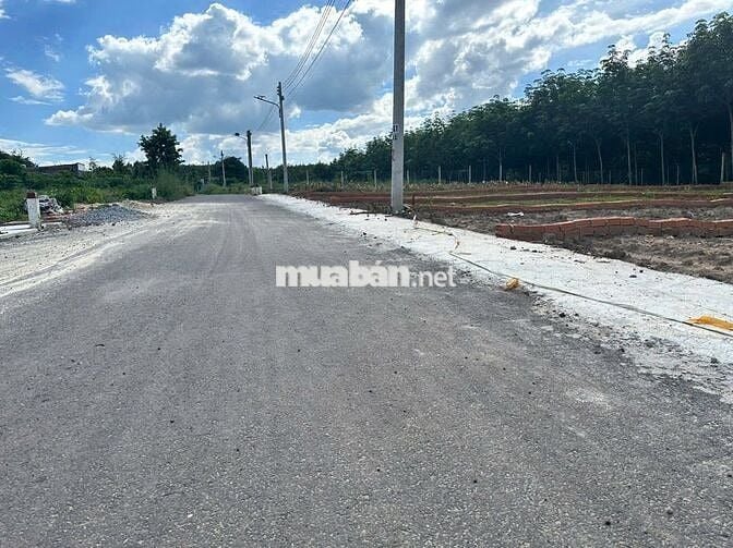 Bán đất thổ cư 125m² giá rẻ tại An Long, TP.HCM