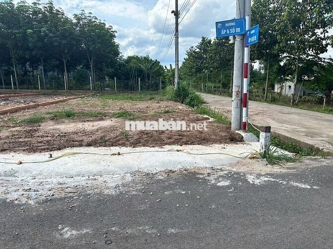 Bán đất thổ cư 125m² giá rẻ tại An Long, TP.HCM