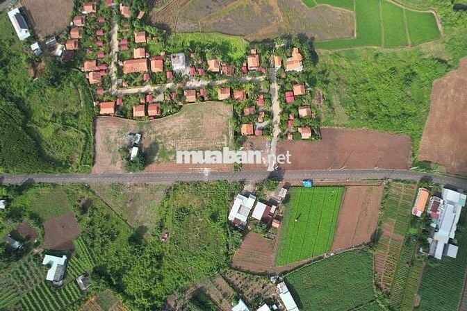 Bán đất chợ Láng Dài - 226m2 -1,35 tỷ Đường Nhựa xe hơi