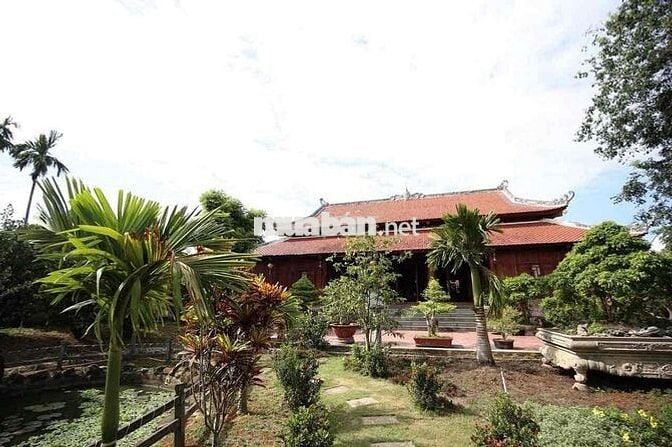 Bán biệt thự nhà gỗ mặt tiền đường Dương Công Khi