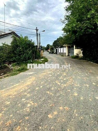Bán đất cho con đi học Đ TL37, Thạnh Lộc , Q12 80m2 SHR chỉ 833tr