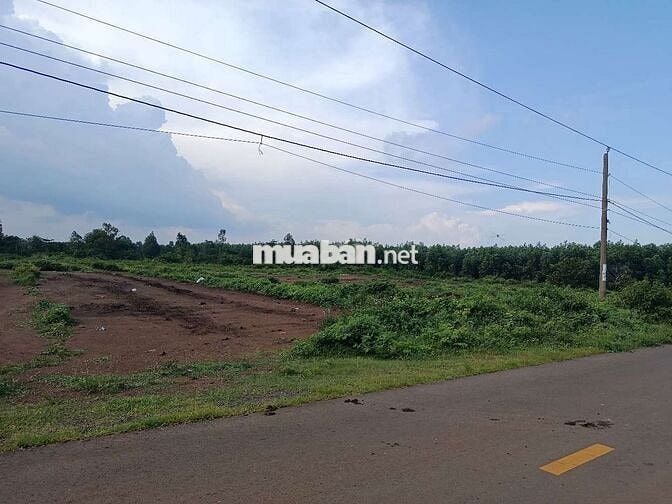 Cần bán gấp đất phường Tân Hòa, tp Phú Mỹ, Bà Rịa Vũng Tàu