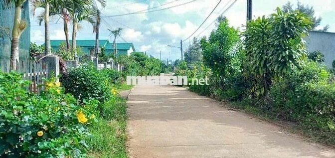Nóng 🔥 Nhanh tay thì còn ,chậm trễ là mất ..Đất vườn 1500m2 /180trieu