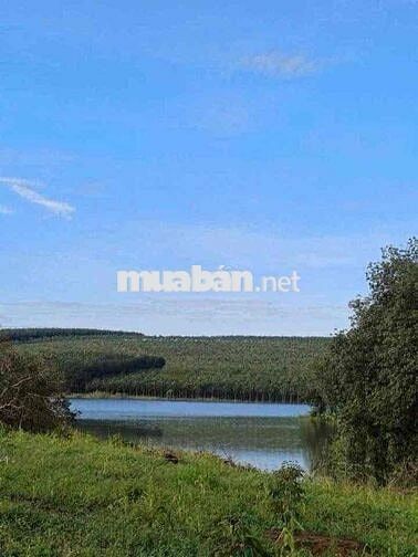 Chỉ cần 180triệu bạn có thể mua được đất vườn hơn 2000m2