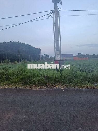 Cần bán gấp đất phường Tân Hòa, tp Phú Mỹ, Bà Rịa Vũng Tàu