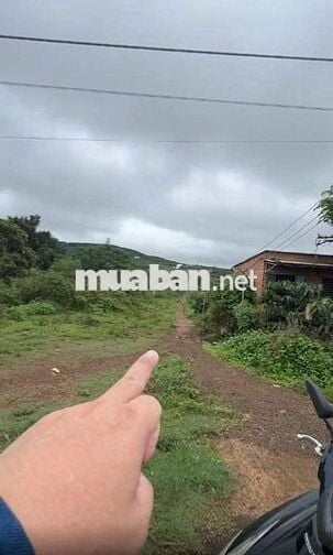 Kẹt Tiền bán -1000m2 - 300Triệu tại TP Pleiku cách QL19 300M