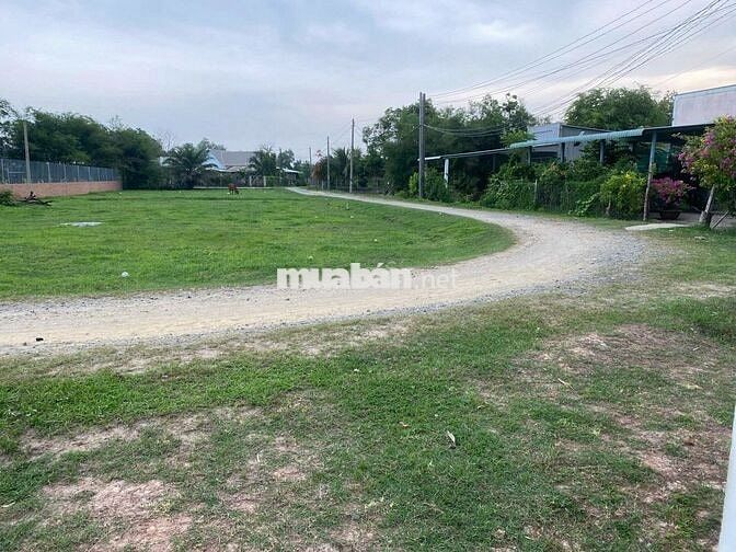 Bán gấp lô đất thổ cư 147m² trung tâm Hậu Nghĩa – Giá chỉ 850 triệu!