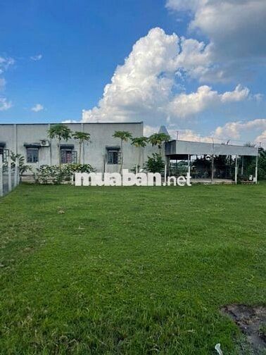 Chính chủ bán gấp 2 lô đất sát Safari Vingroup chỉ 850 triệu