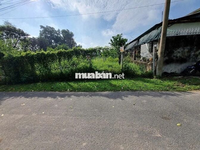 ĐẦU TƯ SINH LỜI 500m² SHR MT NGUYỄN VIẾT XUÂN TT.CỦ CHI CHỈ 500TR FULL