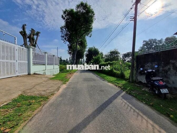 ĐẦU TƯ SINH LỜI 500m² SHR MT NGUYỄN VIẾT XUÂN TT.CỦ CHI CHỈ 500TR FULL