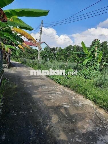 Bán đất đường xe hơi, hướng Nam phường Tân Uyên