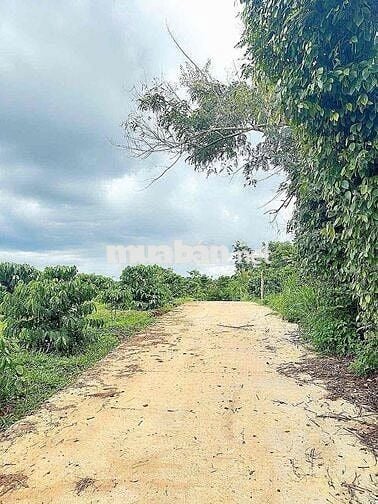 ĐẤT CÁCH PHỐ 9km đường bê tông vi vu nguyên lốc