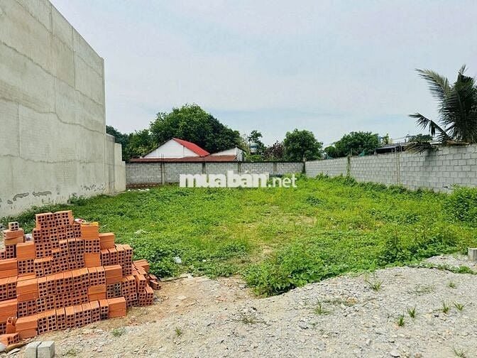 129M2 BA SA PHƯỚC HIỆP ĐẤT RỘNG CỰC KÌ THOÁNG MÁT XÂY NHÀ HỢP LÝ
