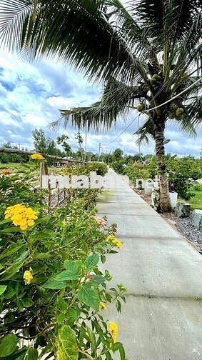 Bán nhà vườn 2000m2, 2 mặt tiền siêu đẹp, giá hợp lý