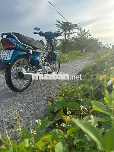 kẹt bán đam mê
