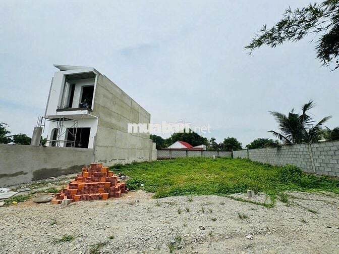 129M2 BA SA PHƯỚC HIỆP ĐẤT RỘNG CỰC KÌ THOÁNG MÁT XÂY NHÀ HỢP LÝ