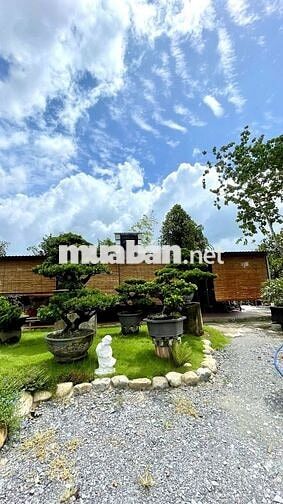 Bán nhà vườn 2000m2, 2 mặt tiền siêu đẹp, giá hợp lý