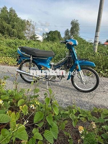 kẹt bán đam mê