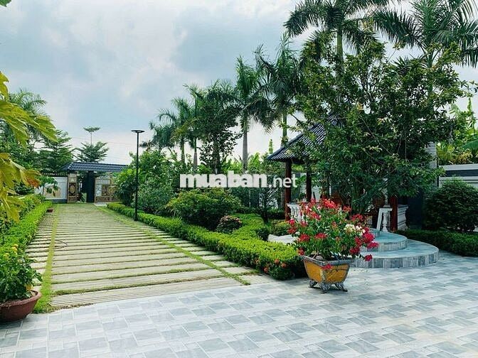 Ami bán nhà mặt tiền chợ mới Đại Phước giá 7,1 tỷ có TL