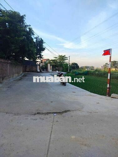 💥💥💥 ĐẤT ĐẸP LÔ GÓC – Ô TÔ VÀO TẬN NƠI – CÁCH TRỤC CHÍNH CHỈ 15M 💥