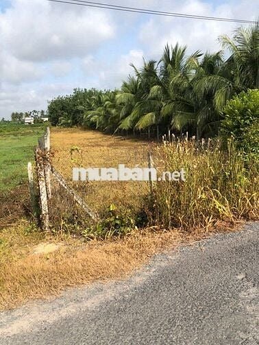 Tôi cần bán lô đất ngay chợ Trảng Bàng ngang 10m giá 300tr sổ hồng