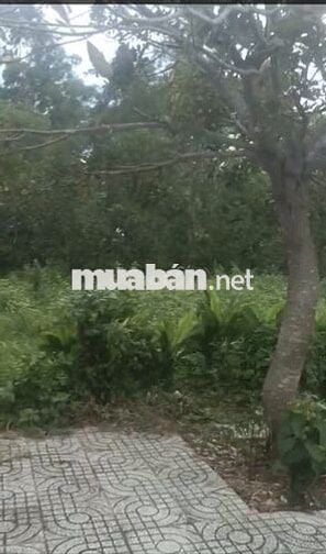 Đất Nền - Mặt Tiền Võ Văn Kiệt Liền Kề Bệnh Viện Trung Tâm.