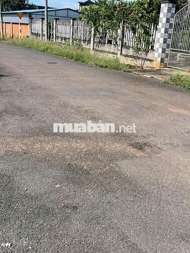 BÁN ĐẤT MẶT TIỀN NHỰA THỔ CƯ 100% XUYÊN MỘC BRVT