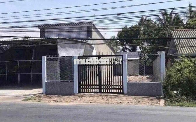 Đất thổ cư sẵn sổ mặt tiền đường nhựa