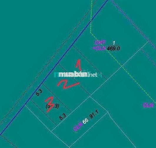 BÁN ĐẤT HXH, LÔ GOC , ĐẠI PHƯỚC NHƠN TRẠCH ĐỒNG NAI 80 M , CHỈ 1 ty250