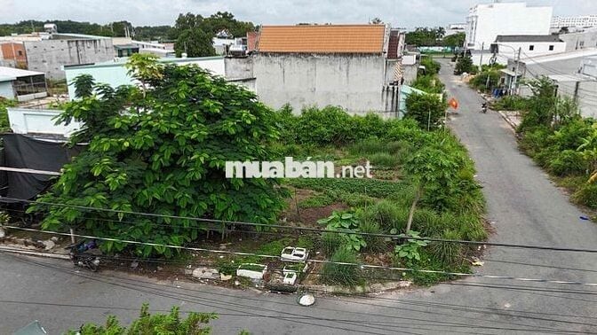 BÁN GẤP LÔ GÓC 2 MẶT TIỀN – ĐƯỜNG NHỰA 10M – KHU TÁI ĐỊNH CƯ KCN THÀ