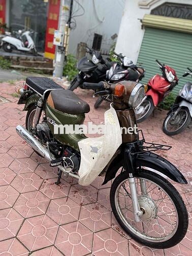Cup 50cc 2022
