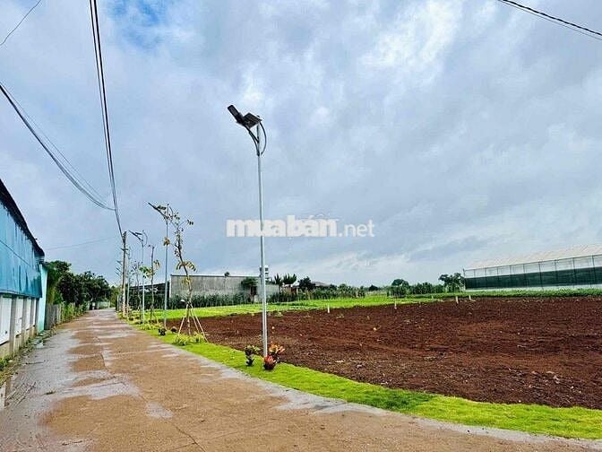 Đất có thổ cư sổ hồng riêng tại xã Tân Hội - Lâm Đồng