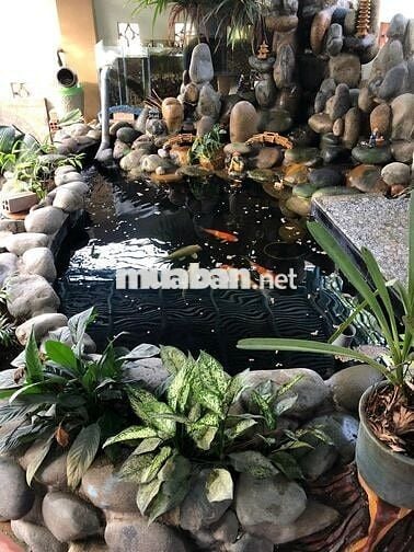 Nhà bán đường Thống Nhất (Ninh Thuận cũ)