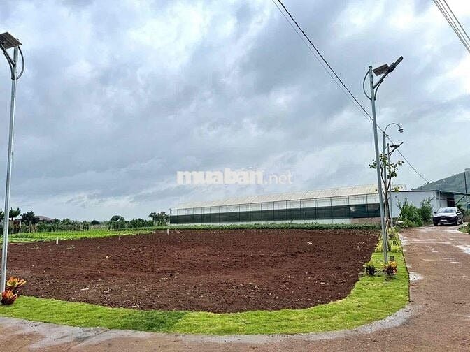 Đất có thổ cư sổ hồng riêng tại xã Tân Hội - Lâm Đồng