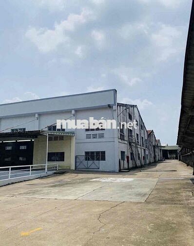 Cho thuê kho đẹp, tiêu chuẩn, đầy đủ giấy tờ pccc. 1800m2