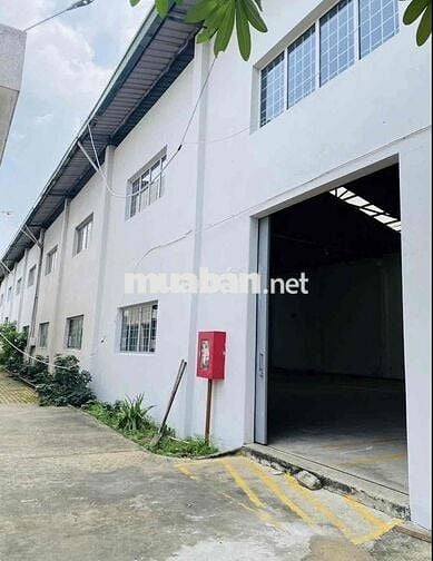 Cho thuê kho đẹp, tiêu chuẩn, đầy đủ giấy tờ pccc. 1800m2
