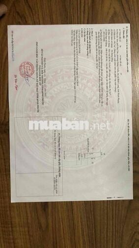 gia đinh tôi cần bán gấp lô đất  ở đô thị