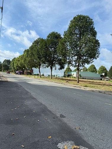 ĐẤT SỔ SẴN, XÂY DỰNG TƯ DO, NGAY TRUNG TÂM BÀU BÀNG  