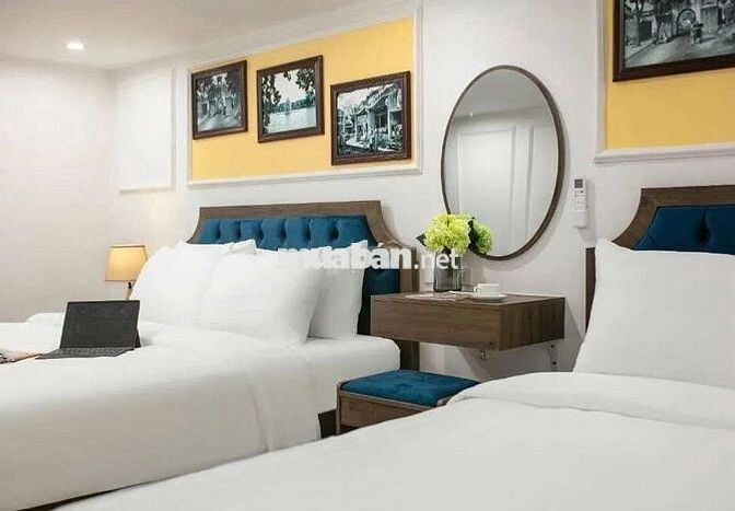Bán Nhà Cầu Gỗ Hoàn Kiếm 102m2 8 tầng 30 phòng 119,5Ty