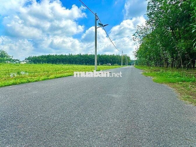 Trả trước 450 triệu sở hữu đất Chánh Phú Hoà - Bến Cát