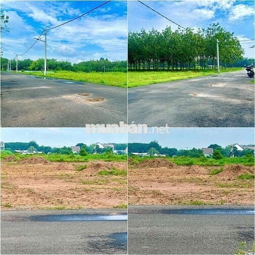 Trả trước 450 triệu sở hữu đất Chánh Phú Hoà - Bến Cát