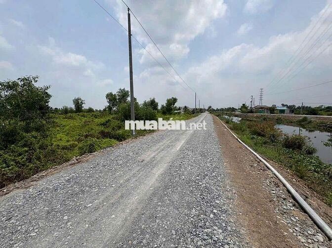 Đất vườn dt 2005,6mv giá 1tỷ 799tr bình đức bến lức Long An.Đường8m