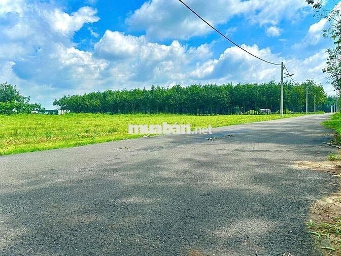 Trả trước 450 triệu sở hữu đất Chánh Phú Hoà - Bến Cát